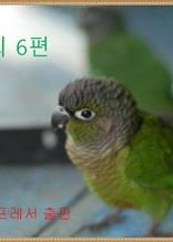 장사 외 6편