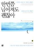 한번쯤 넘어져도 괜찮아 : 꿈을 이룬 사람들을 정밀 분석한 자기성장 안내서